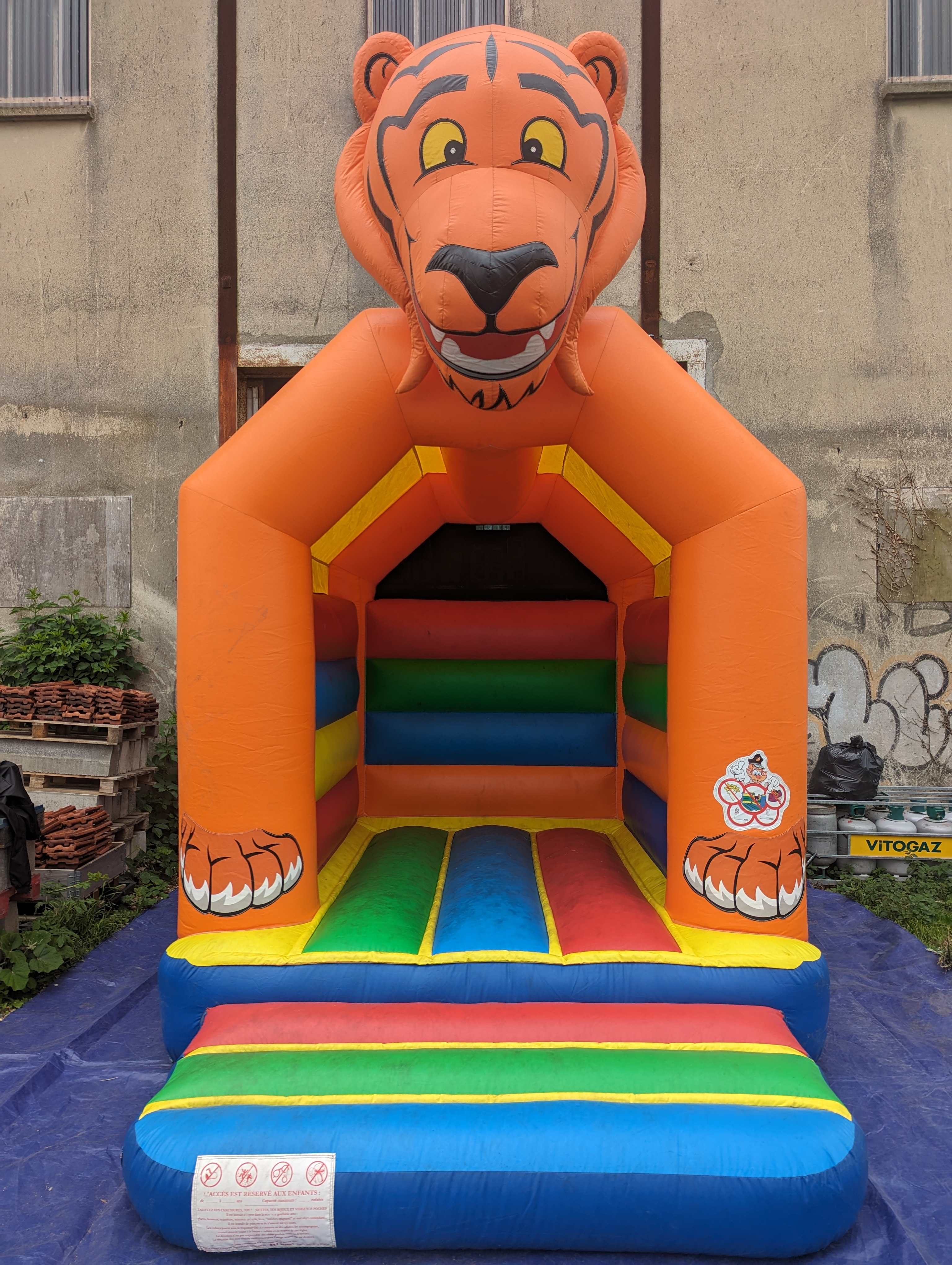 Le tigre  - Image 6
