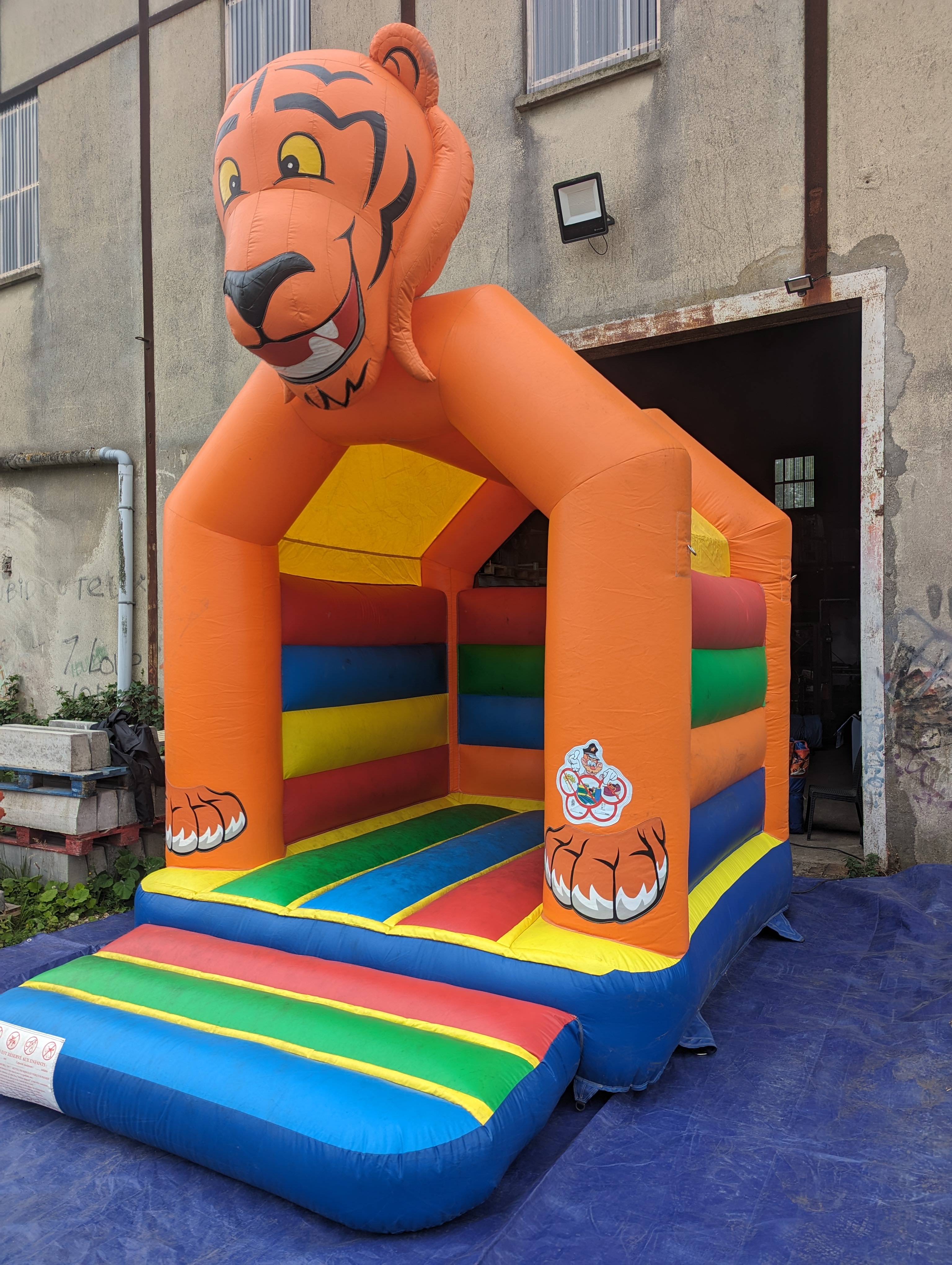 Le tigre  - Image 7