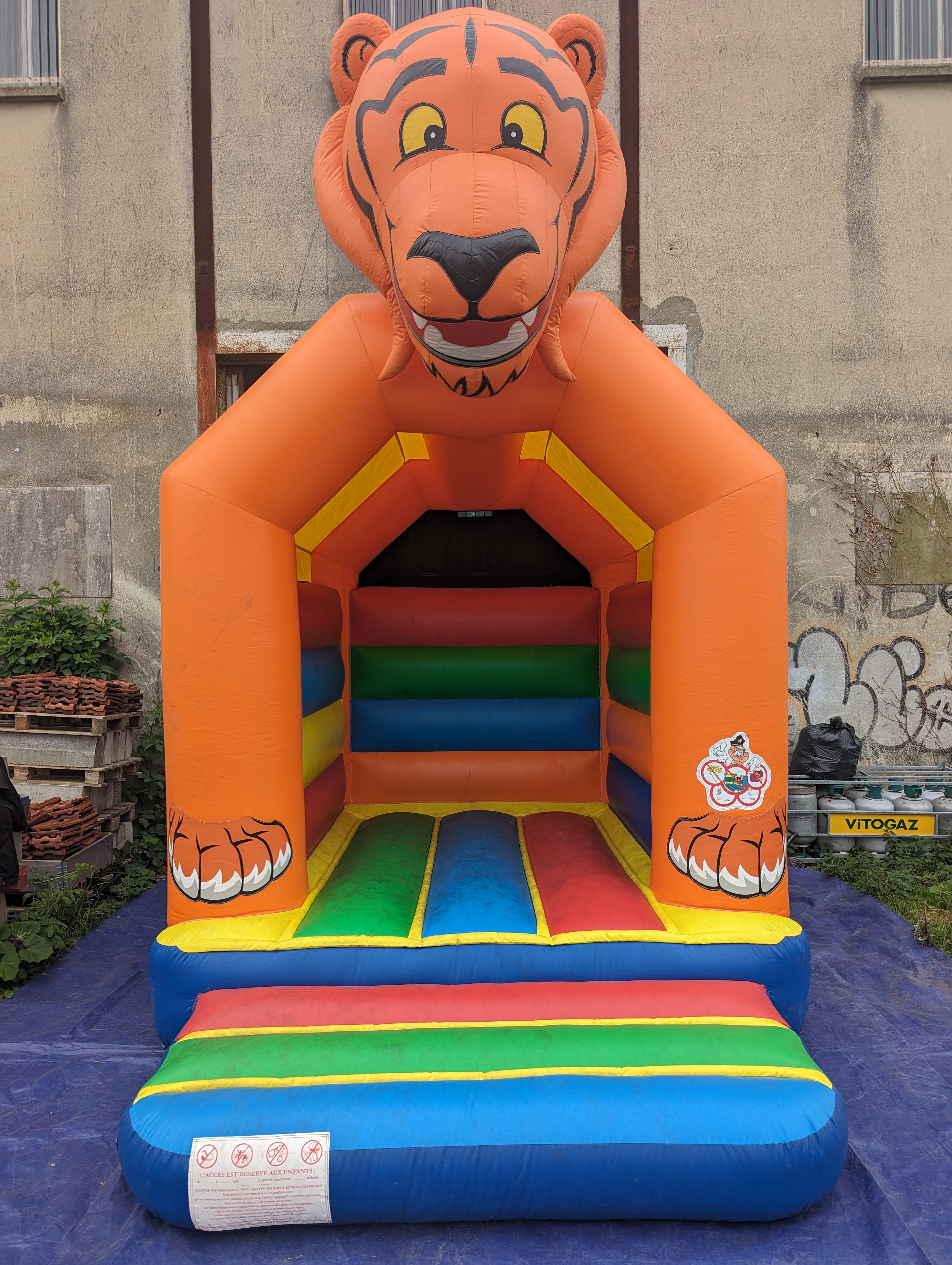 Le tigre  - Image 8