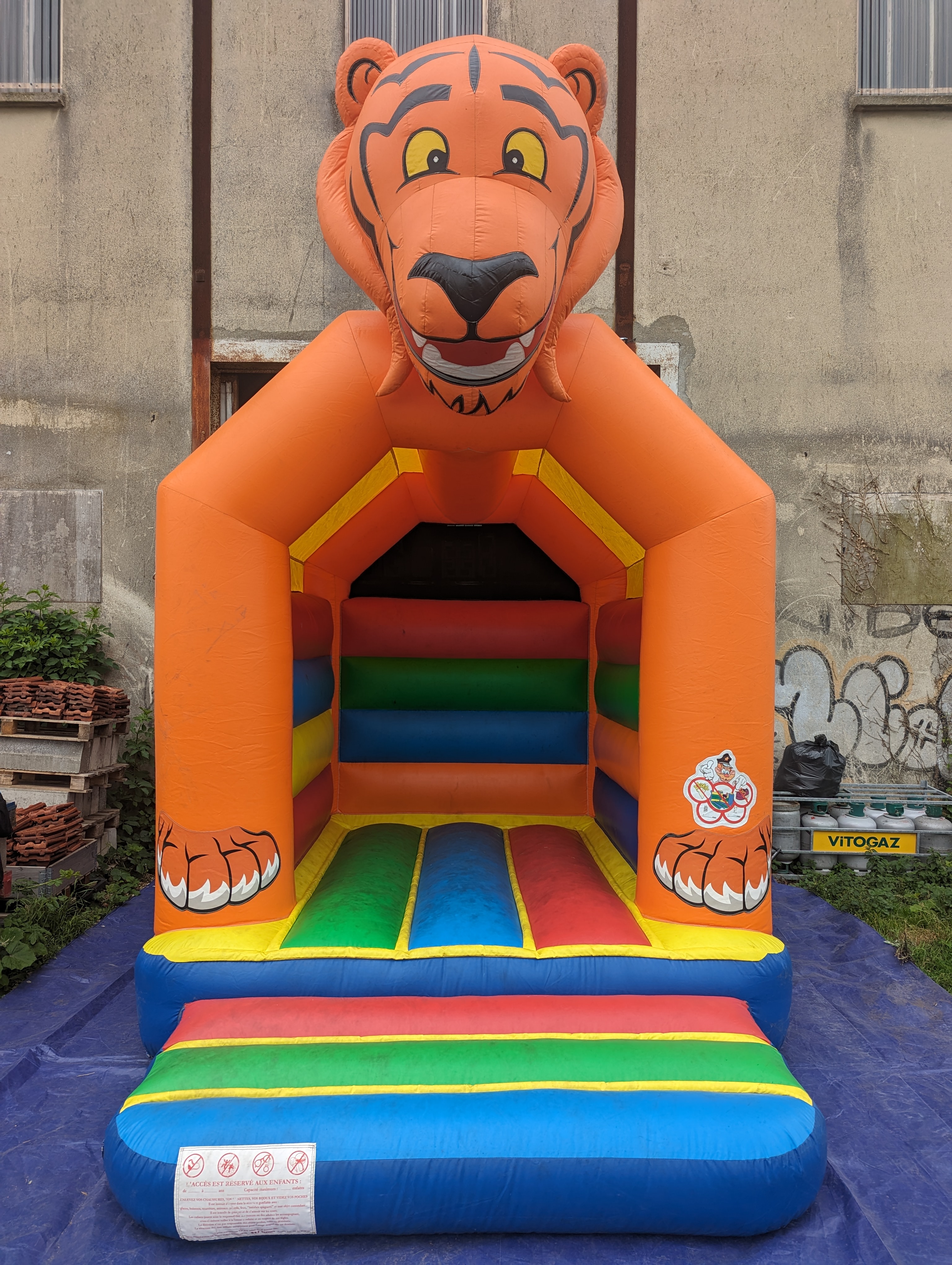 Le tigre  - Image 9