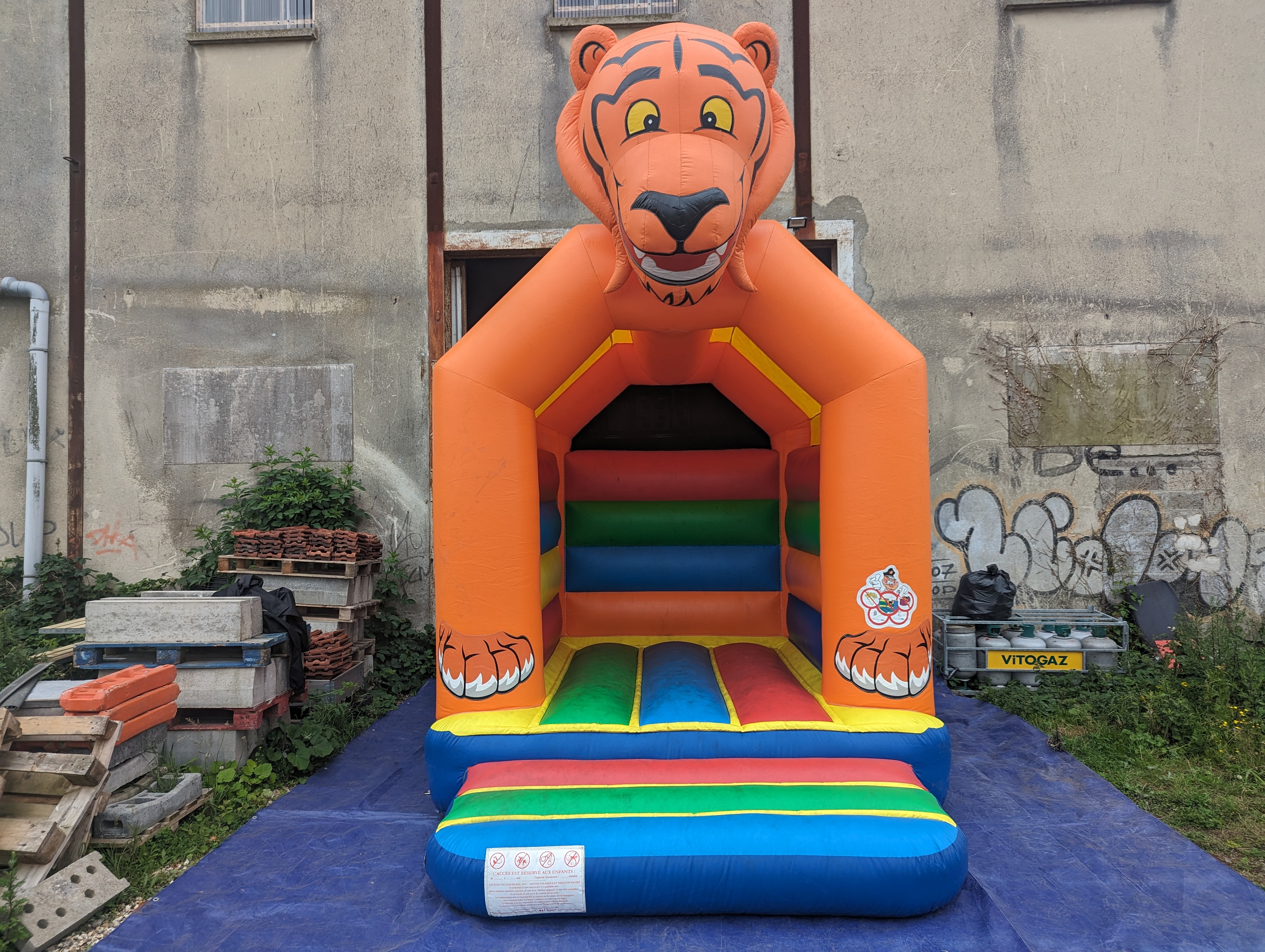 Le tigre  - Image 14