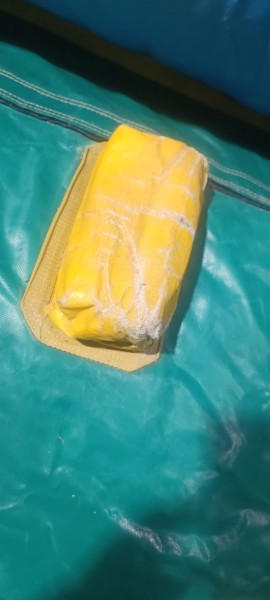 Toboggan tigre du Bengale - Image 7