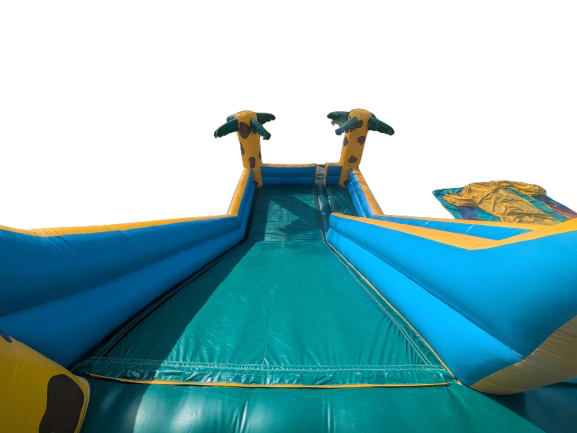 Toboggan tigre du Bengale - Image 15