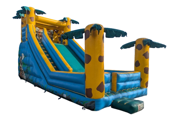Toboggan tigre du Bengale - Image 17