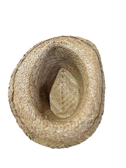 Chapeau Fedora - Image 2