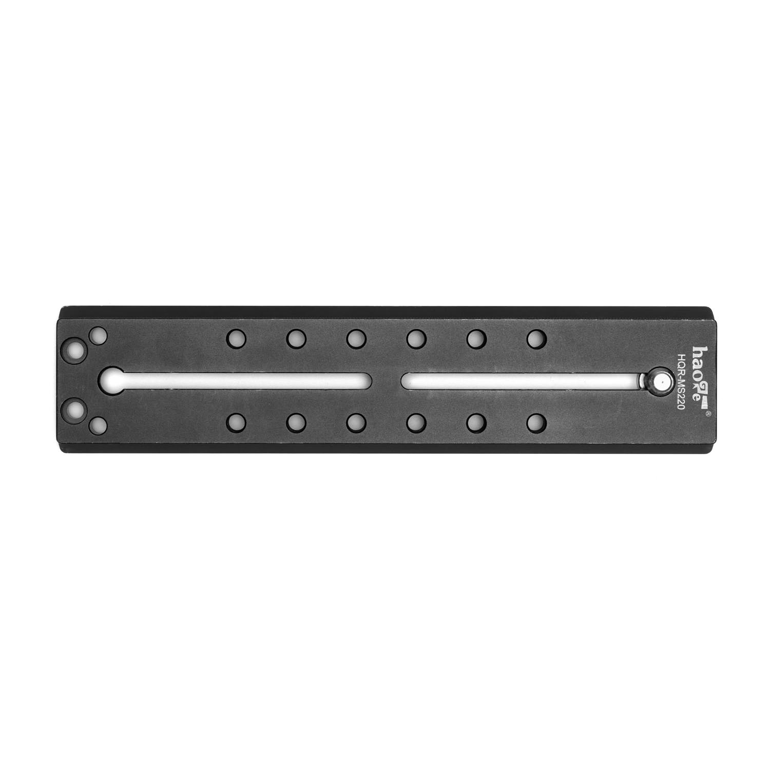 Div. RS3 Camera Plate | 22cm