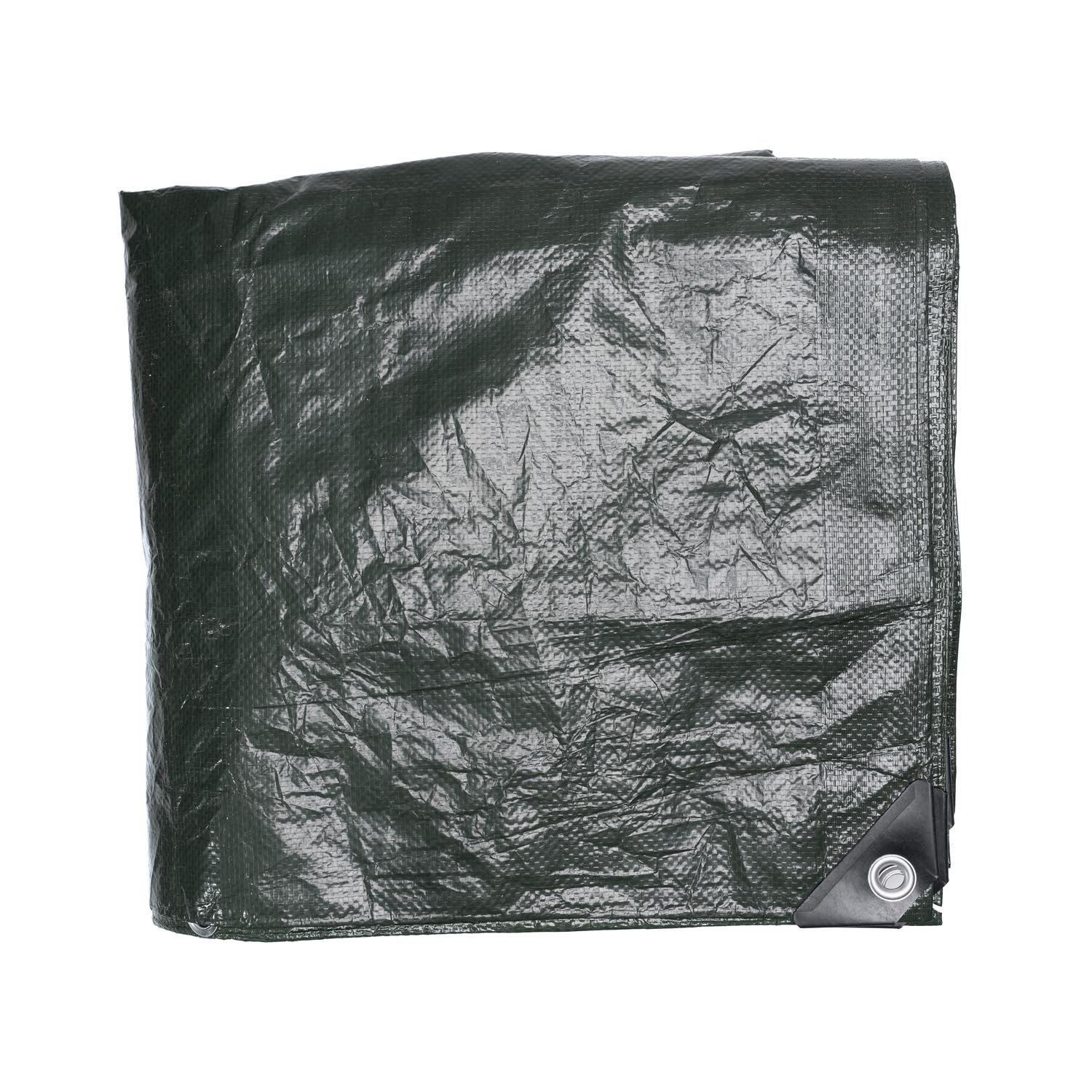 Tarp