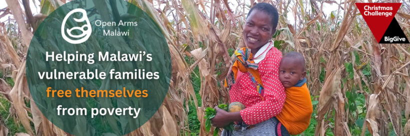 Big Give promo banner