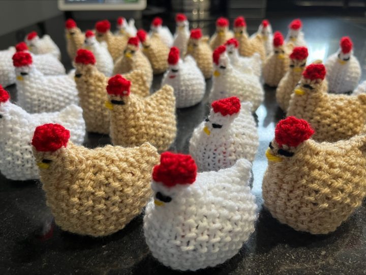 knitted chicks