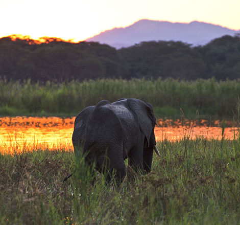 Would you like ten days in Malawi?