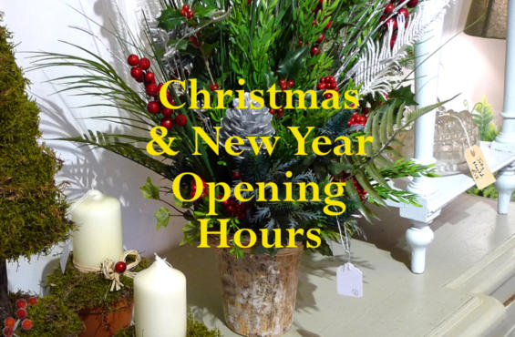 27 West Park Xmas 2020