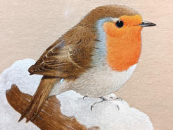 Robin In Winter Original Watercolour By Maurice Pledger 395 02