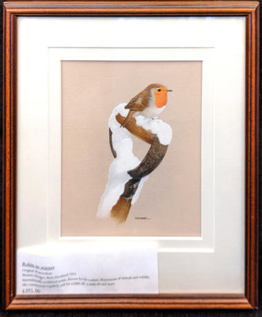 Robin In Winter Original Watercolour By Maurice Pledger 395 01