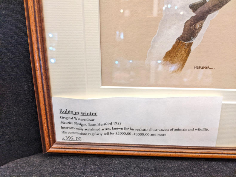 Robin In Winter Original Watercolour By Maurice Pledger 395 03