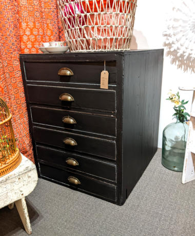 U18 Vintage Painted Plan Chest 220 01