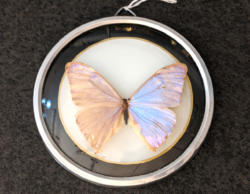 U55 Pm Vintage Butterfly Frame 20 01