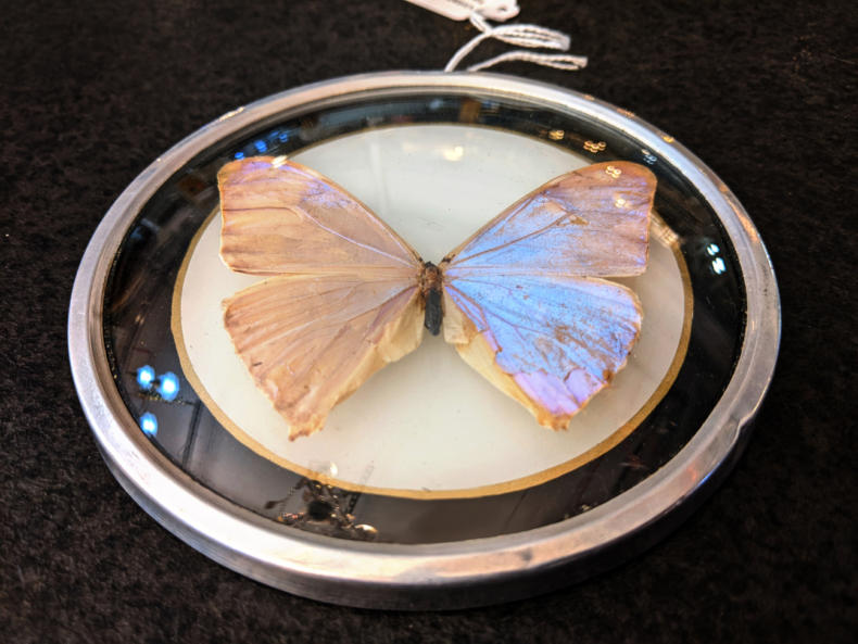 U55 Pm Vintage Butterfly Frame 20 02