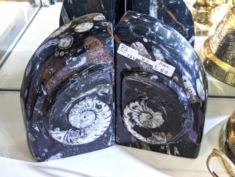 U82 Ammonite Book Ends 50 01