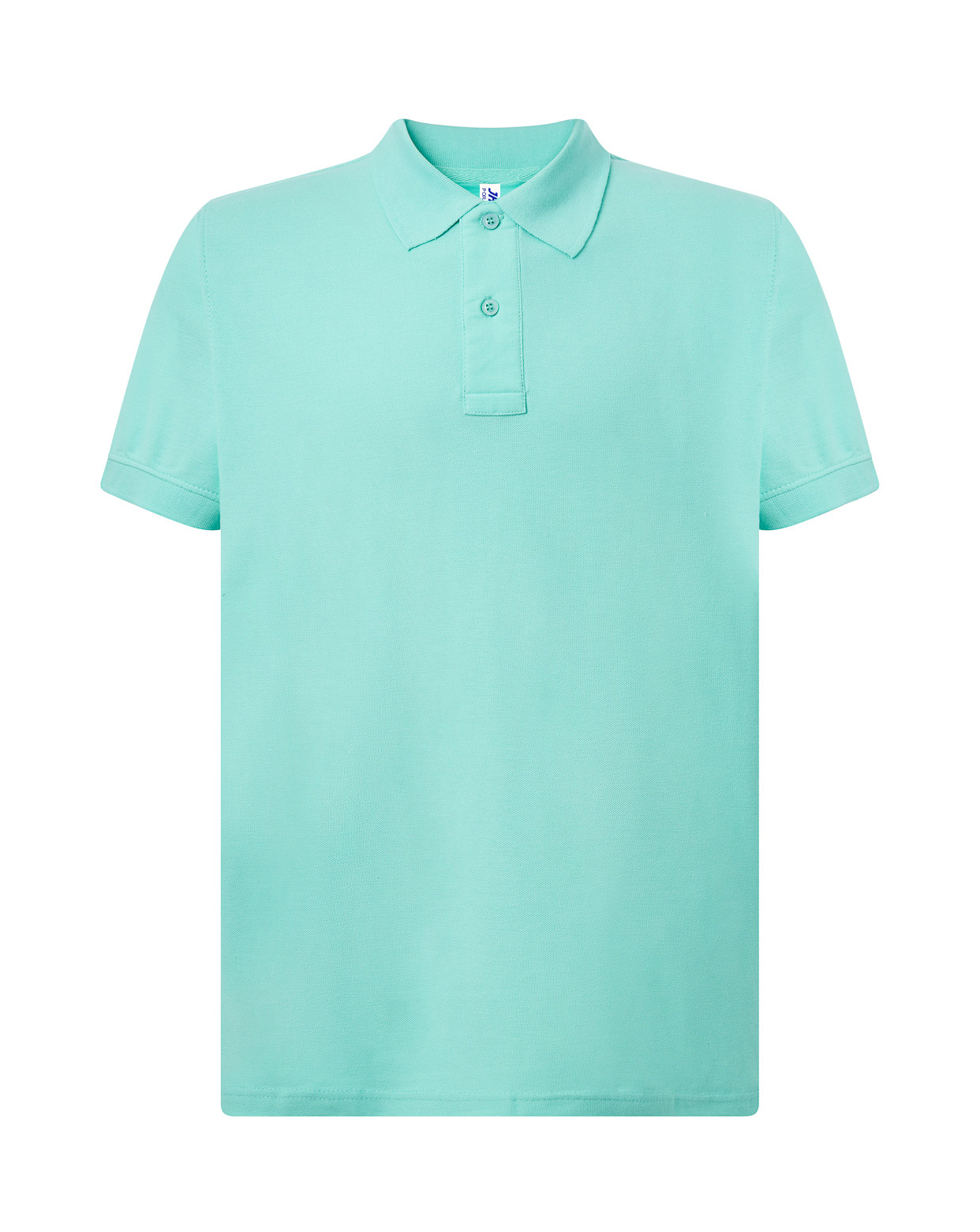 Man Regular Polo  Mint Green