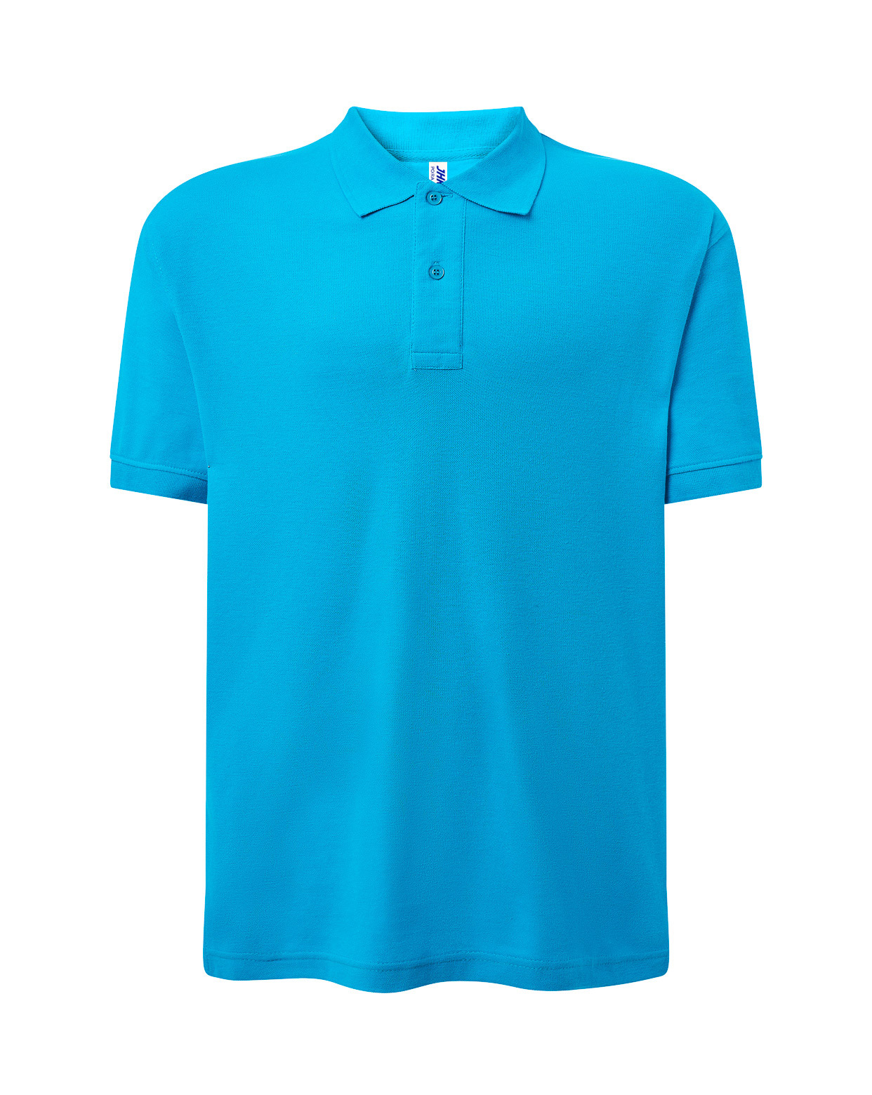 Man Regular Polo  Turquoise