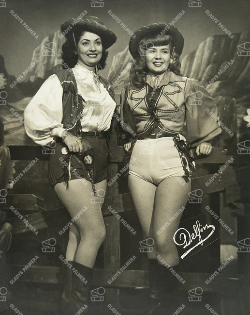 Modelos del programa 