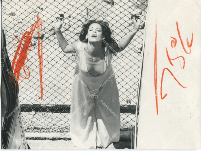 Sonia Braga 