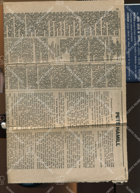 Daily News 