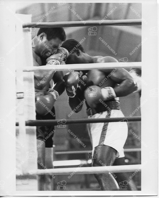 Boxing, Las Vegas '78