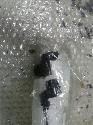 View Auto part SENSOR PARKEREN (PDC) BMW 3 SERIES 2005