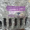 View Auto part DYNAMO NISSAN PIXO 2010