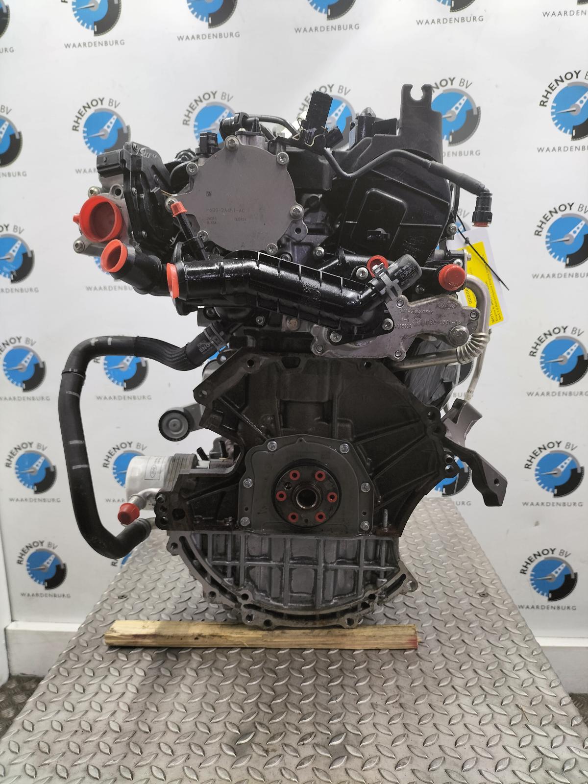 2023 FORD FOCUS MOTOR View Auto part MOTOR FORD FOCUS 2023