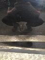 View Auto part PORTIER RA PEUGEOT 408 2024