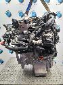 View Auto part MOTOR FORD TRANSIT COURIER 2024