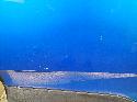 View Auto part PORTIER LA  OPEL / VAUXHALL GRANDLAND X 2021
