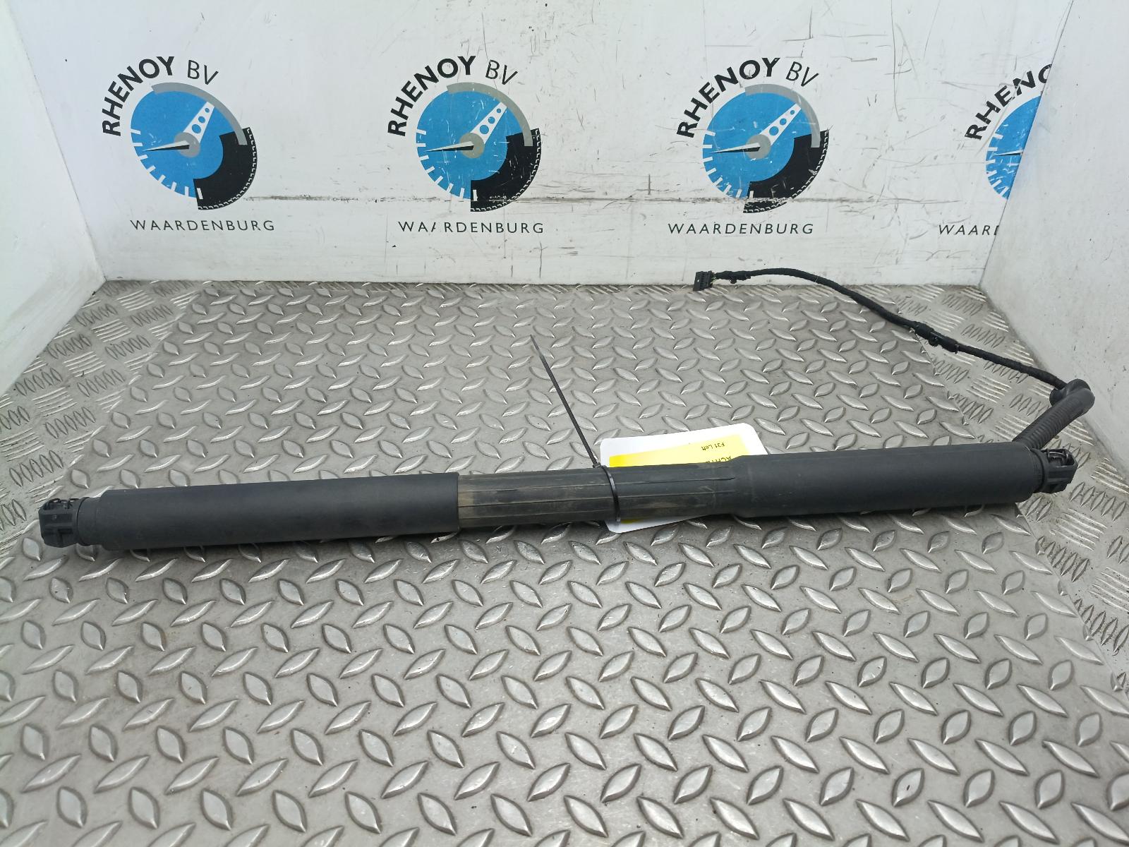 Bekijk Auto-onderdeel ACHTERKLEP GASVEER / ELEKTRISCHE SPINDEL BMW 3 SERIES 2015