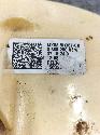 View Auto part BRANDSTOF POMP (IN TANK)  FORD KUGA 2024