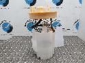 View Auto part BRANDSTOF POMP (IN TANK) FORD FOCUS 2023