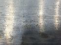 View Auto part BUMPERBALK ACHTER FORD FOCUS 2023