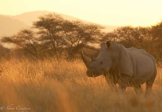 In Africa A Large Island West Of Mozambique In Africa A Large Island West Of Mozambique