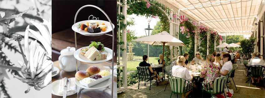 Top 10 High Teas in Cape Town Rhino Africa Blog Top 10 High Teas in Cape Town Rhino Africa Blog
