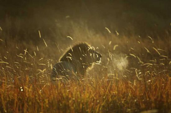 Randy Harris Photography