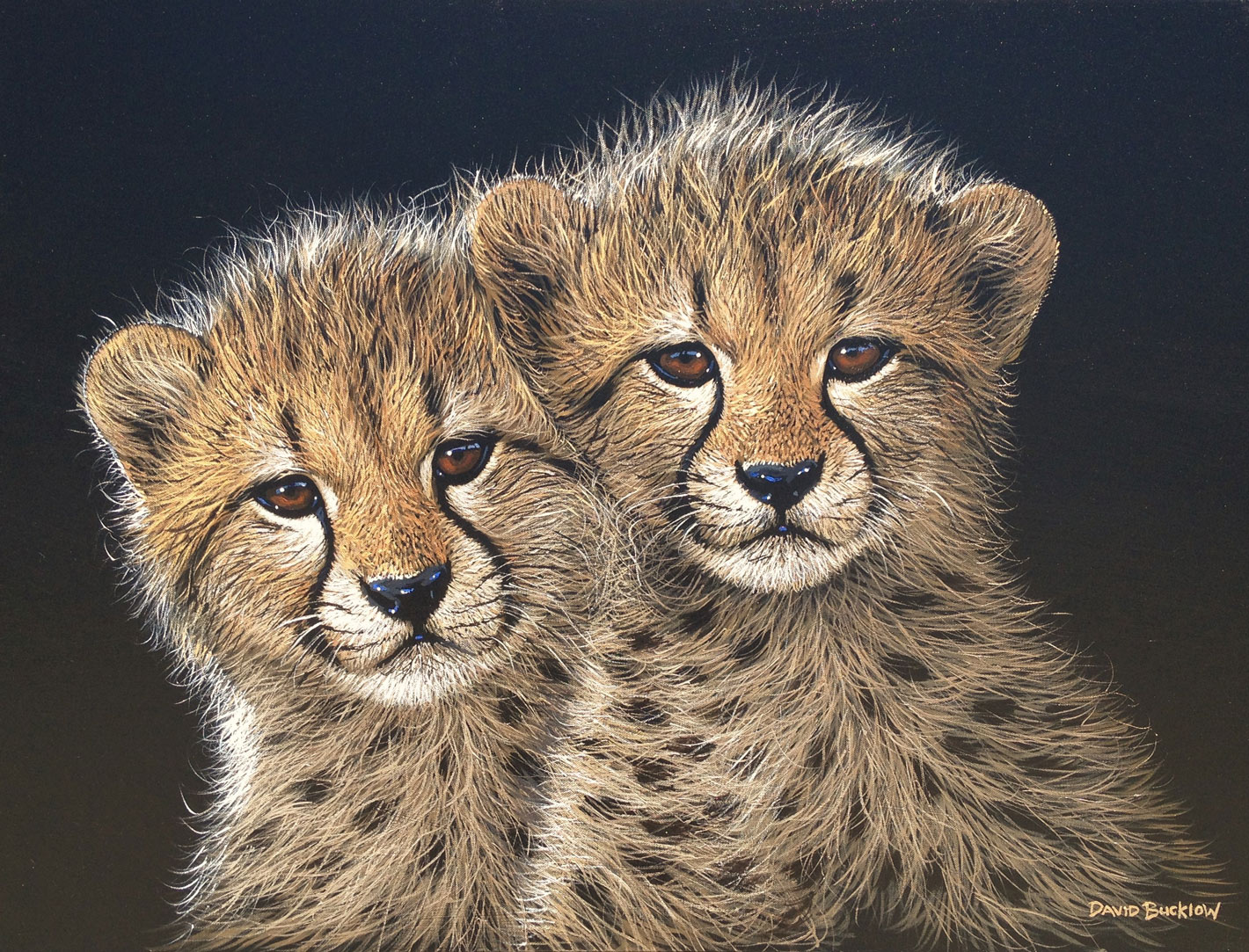 A Closer Look At 6 Incredible South African Wildlife Artists Rhino Africa A Closer Look At 6 Incredible South African Wildlife Artists Rhino Africa