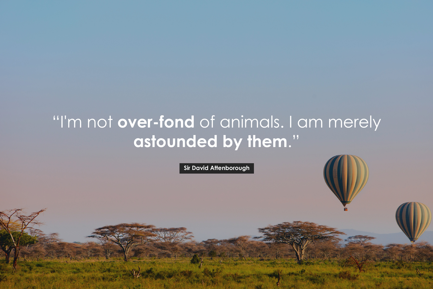 The 10 Best David Attenborough Quotes of All Time