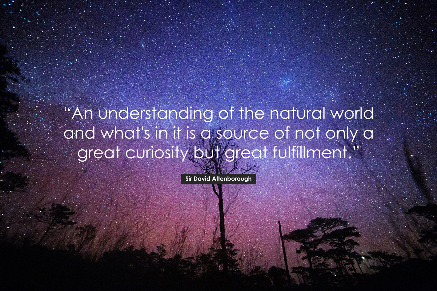 The 10 Best David Attenborough Quotes of All Time