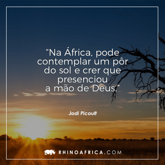Frases que te farão querer viajar para África imediatamente
