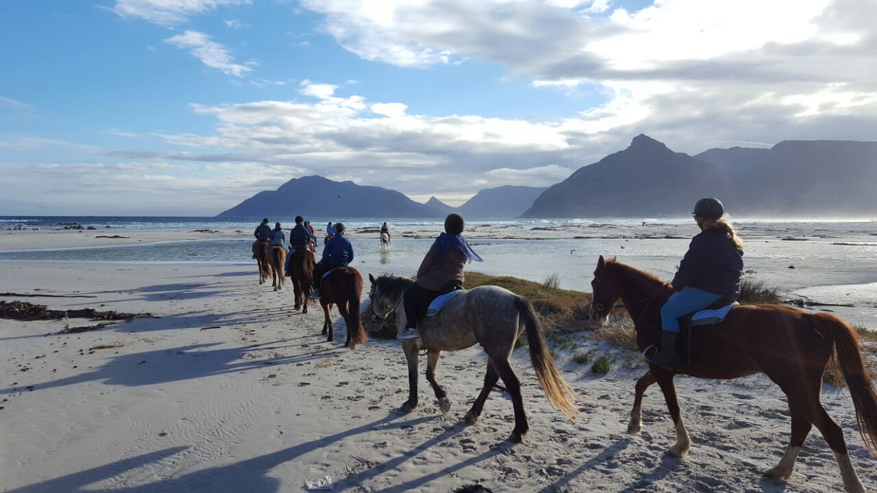Horse Riding on Cape Town's Beaches Rhino Africa