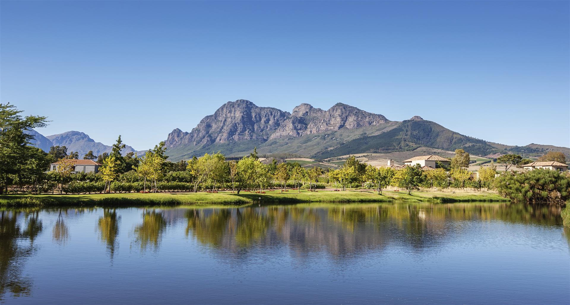 Explore the Cape Winelands - start with Stellenbosch...