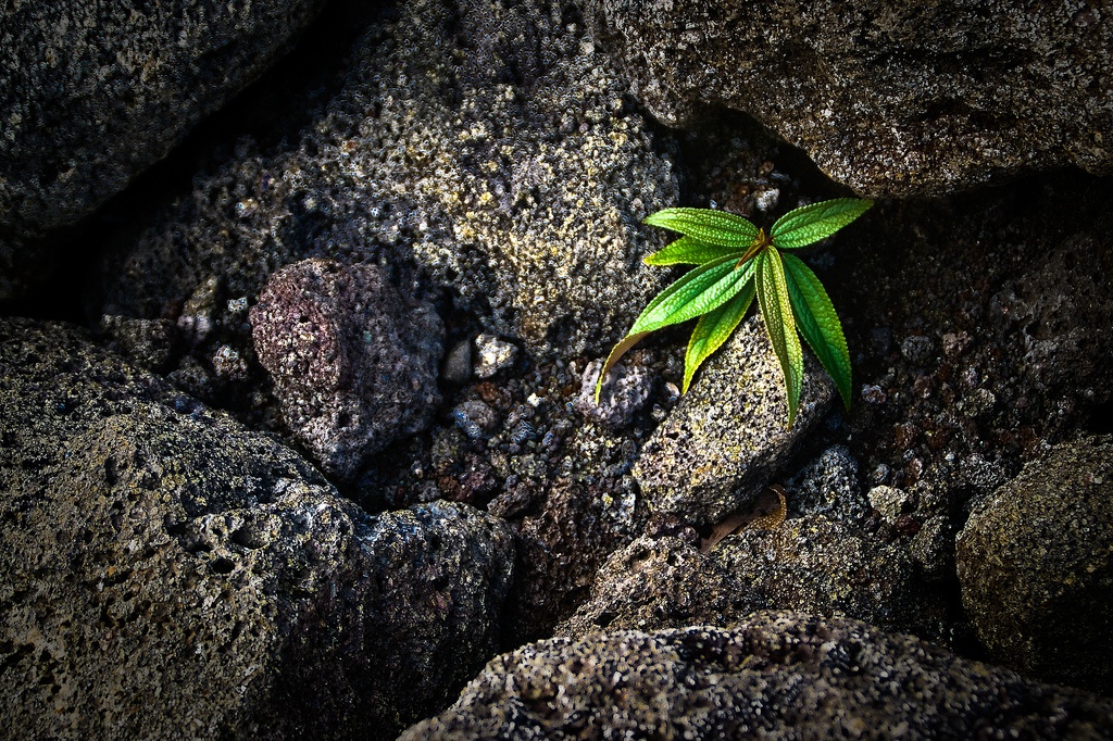 Uncover-Reunion Uncover Reunion Island