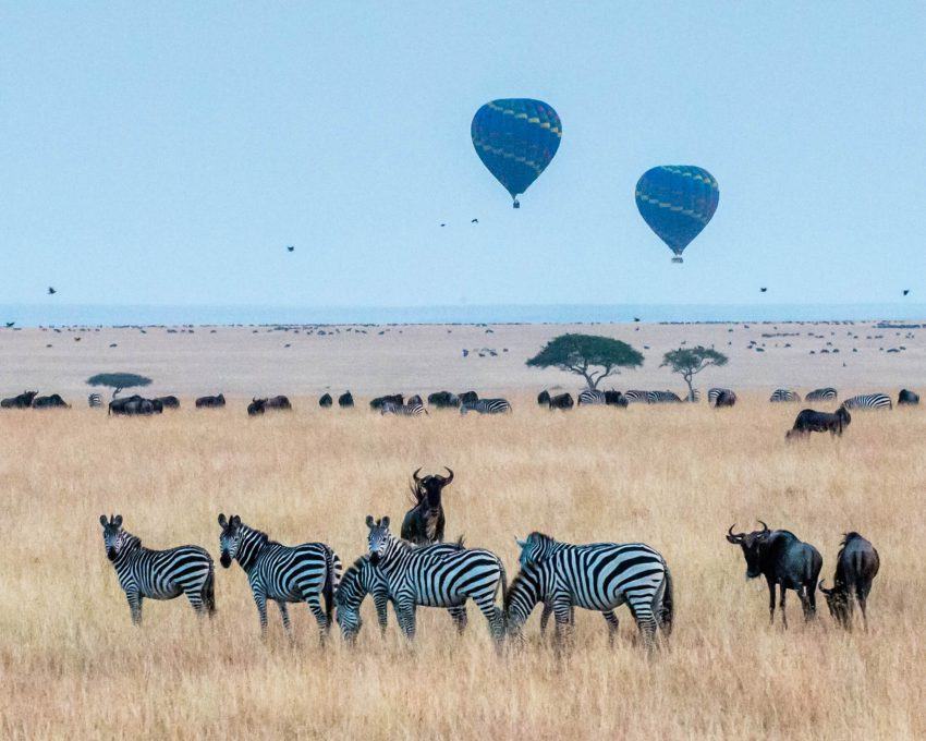 meilleur site de rencontre au Kenya Vitesse d’affaires datant Torino