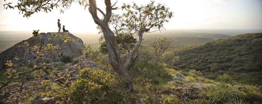 Why We Love Phinda Private Game Reserve Rhino Africa Blog